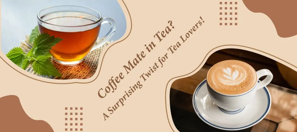 can you use coffee mate in tea